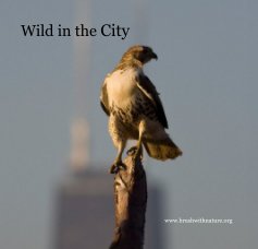 Wild in the City book cover