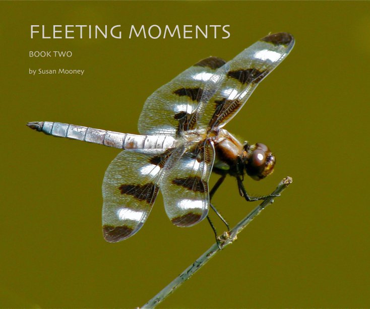 View FLEETING MOMENTS by Susan Mooney