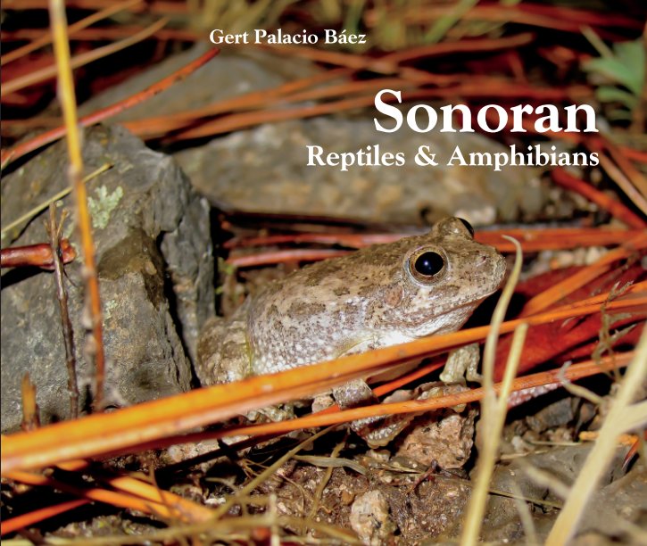 Sonora Reptiles and Amphibians nach Gert Palacio Baez anzeigen