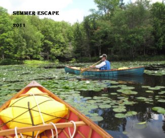 Summer Escape book cover