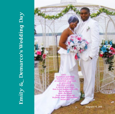 Emily & Demarco's Wedding Day book cover