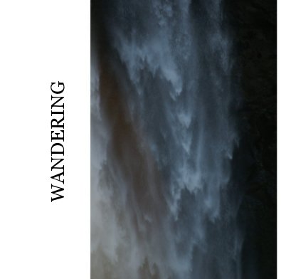 WANDERING book cover