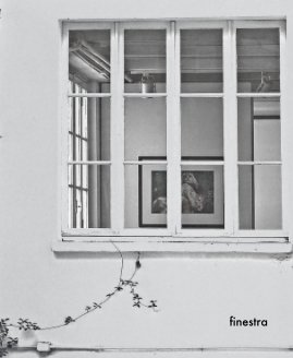 finestra book cover