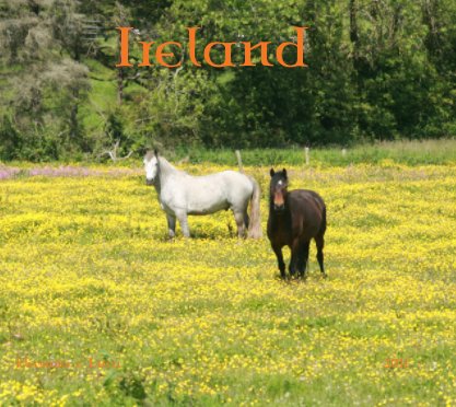 Ireland 2011 book cover