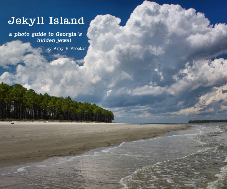 View Jekyll Island by Amy B Proctor