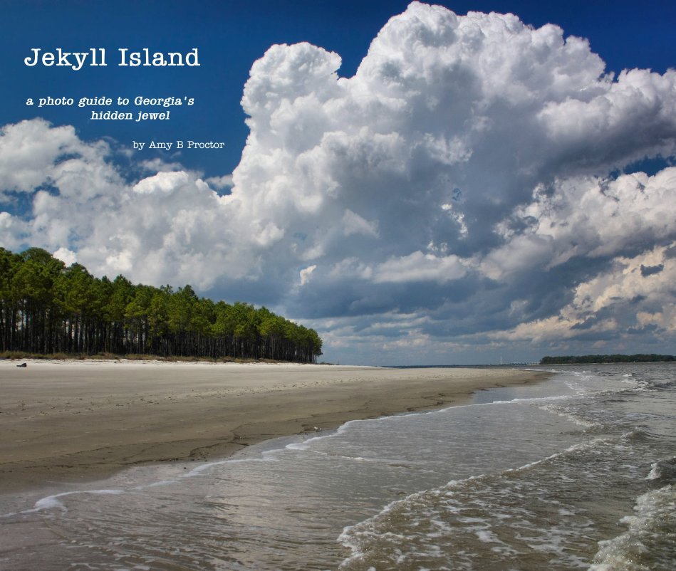 View Jekyll Island by Amy B Proctor