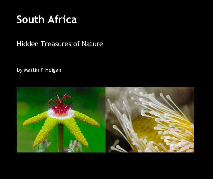 Bekijk South Africa op Martin P Heigan