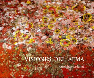 Guadalupe Ledesma book cover