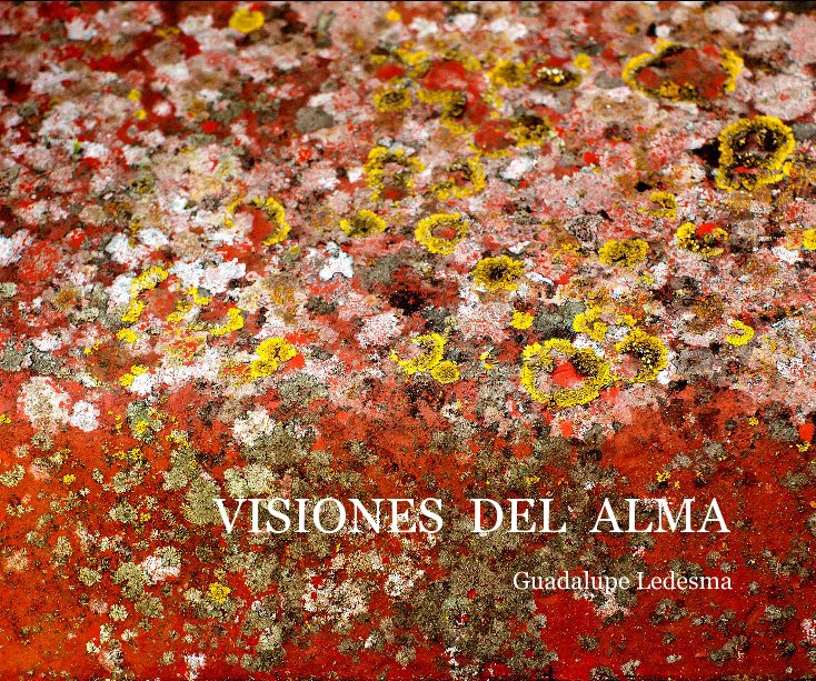 Visualizza Guadalupe Ledesma di VISIONES DEL ALMA