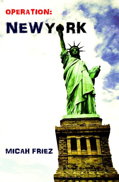 View Operation: New York by Micah Friez