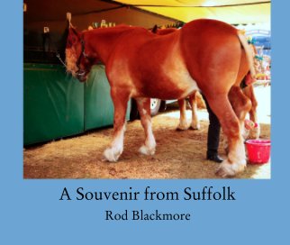 A Souvenir from Suffolk book cover