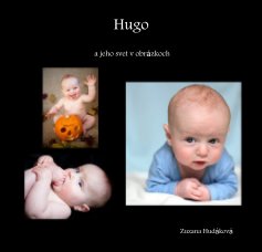 Hugo book cover