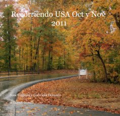 Recorriendo USA Oct y Nov 2011 book cover