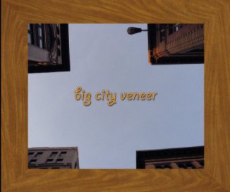 Big City Veneer book cover