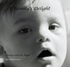 A Family's Delight book cover