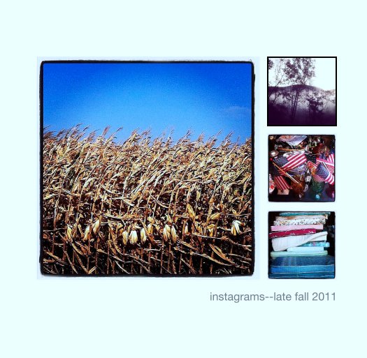 View instagrams--late fall 2011 by janet moore-coll