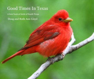 Good Times In Texas book cover