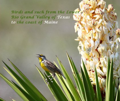Birds and such of the Lower Rio Grand Valley, Texas to the coast of Maine book cover
