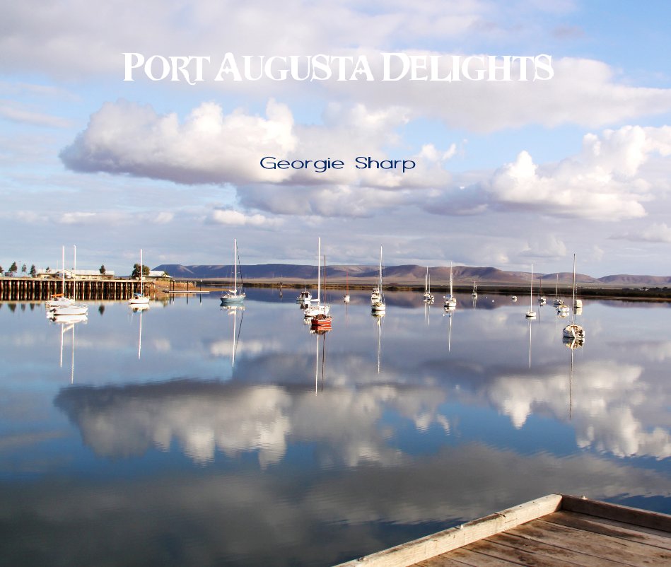View Port Augusta Delights by Georgie Sharp