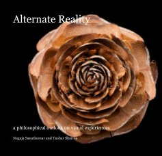 Alternate Reality book cover