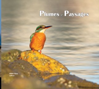 Plumes et Paysages book cover