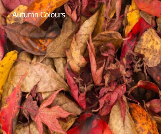 Autumn Colours book cover