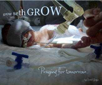 grow seth GROW book cover