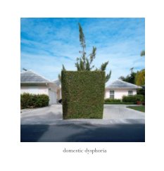 domestic dysphoria book cover