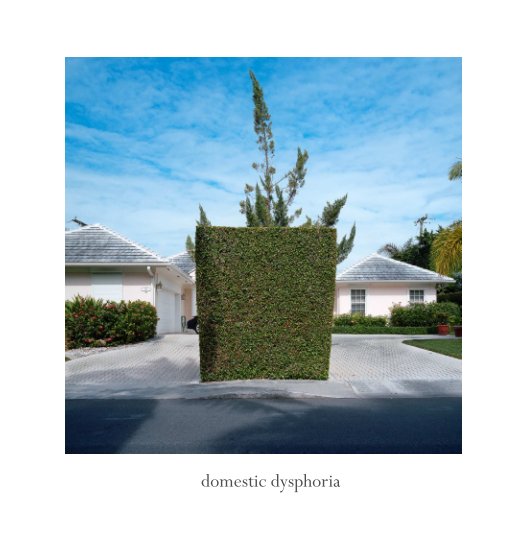 View domestic dysphoria by Tom Wik