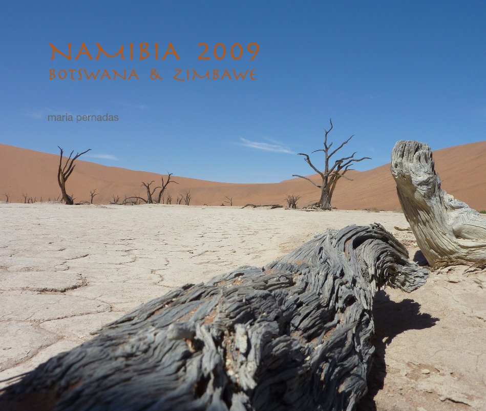 Ver NAMIBIA 2009 BOTSWANA & ZIMBAWE por maria pernadas