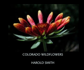 COLORADO WILDFLOWERS book cover