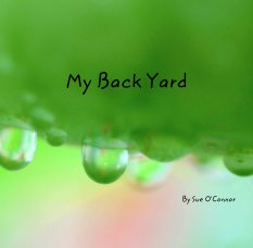 My Back Yard book cover