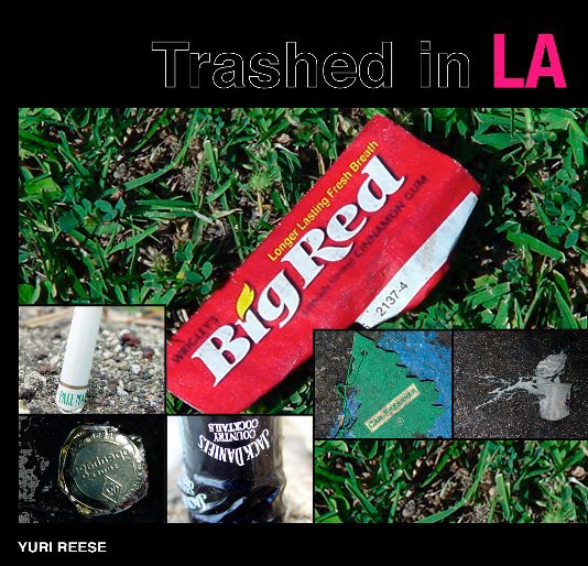 View Trashed in LA by Yuri Reese