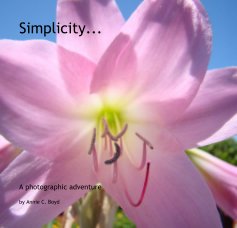 Simplicity... book cover