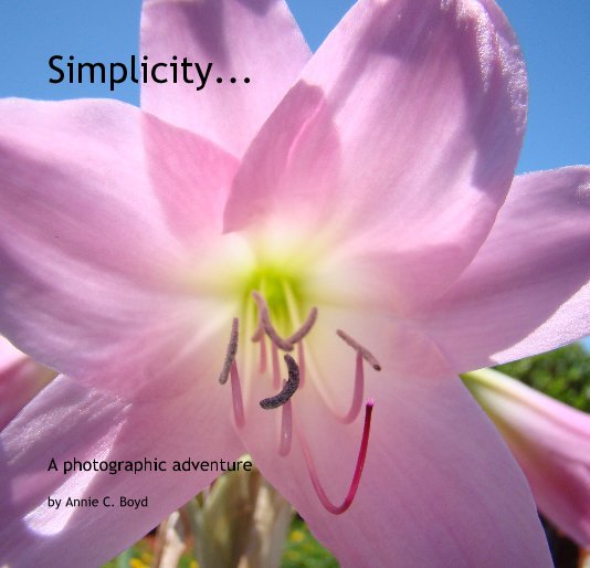 View Simplicity... by Annie C. Boyd