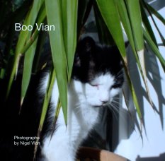 Boo Vian book cover