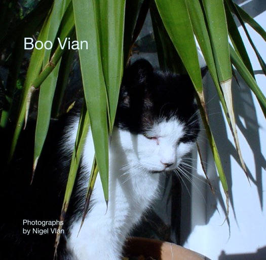 Ver Boo Vian por Photographs 
  by Nigel VIan