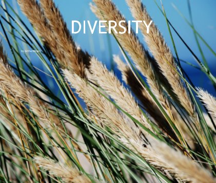 DIVERSITY book cover