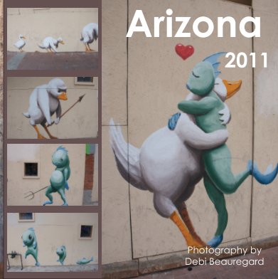 Arizona 2011 book cover