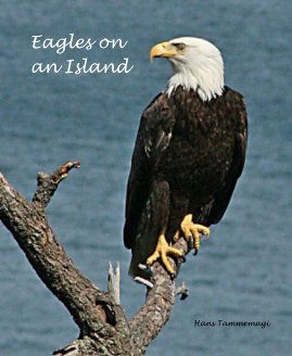 Eagles on an Island book cover