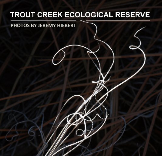 View TROUT CREEK ECOLOGICAL RESERVE by PHOTOS BY JEREMY HIEBERT