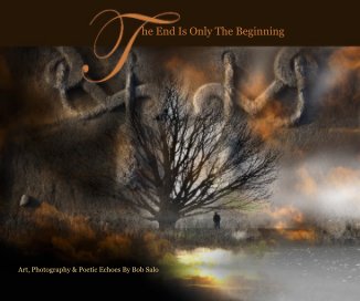 the end is only the beginning
8x10 book cover