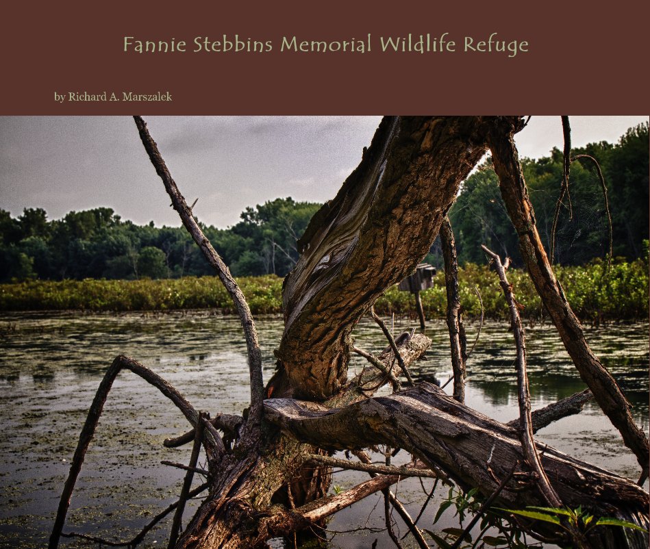 View Fannie Stebbins Memorial Wildlife Refuge by Richard A. Marszalek