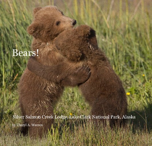 Visualizza Bears! di Cheryl A. Warren