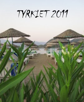 TYRKIET 2011 book cover