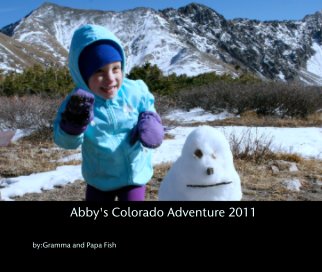 Abby's Colorado Adventure 2011 book cover
