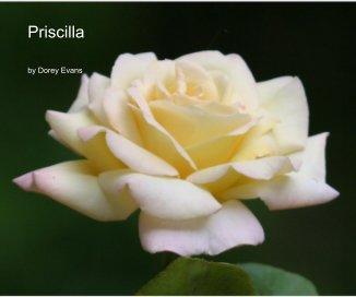 Priscilla book cover