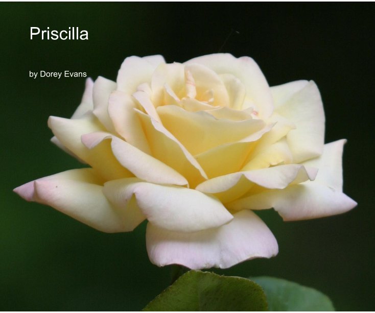 View Priscilla by Dorey Evans