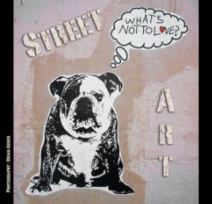 Street Art book cover