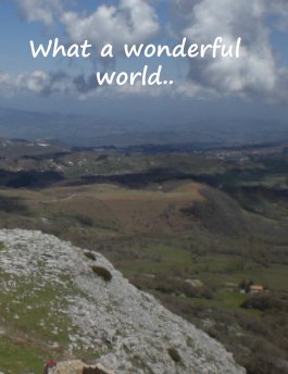 What A Wonderful World... book cover